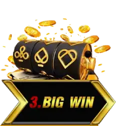 step3 big win